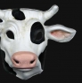 mucca