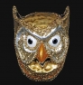 Detail gufo