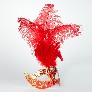 Profile eye_mask_piume_stella_gold_red