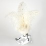 Profile eye_mask_piume_stella_silver_white