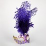 Profile eye_mask_piume_stella_gold_purple