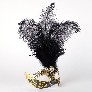 Profile eye_mask_piume_stella_gold_black