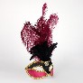 Profile eye_mask_piume_velluto_black_bordeaux