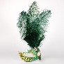 Profile eye_mask_piume_stella_gold_green