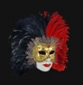 Profile volto_piume_sera_black_red