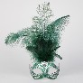 Detail eye_mask_piume_stella_silver_green