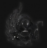 Profile swan_lux_black