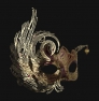 Profile swan_lux_red
