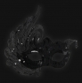 Detail swan_lux_black