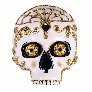 Detail teschio_sig_morte