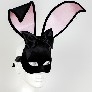 Profile black_velvet_bunny_carta_alta_venetian_masks